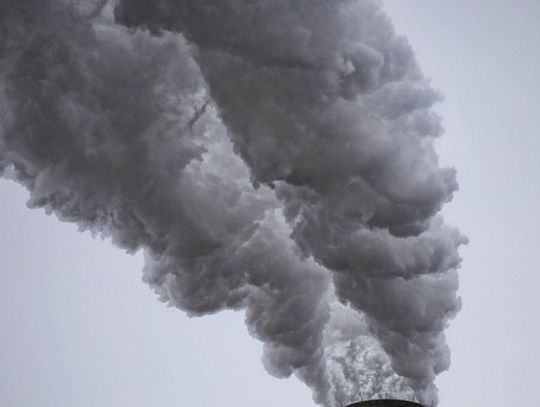Czym można palić w piecu? Smog zabija