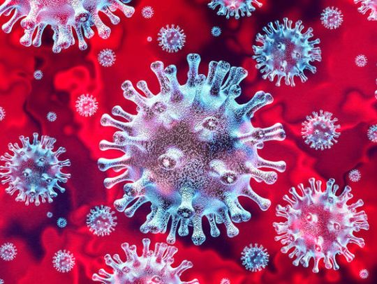 Czym się różni epidemia od pandemii?