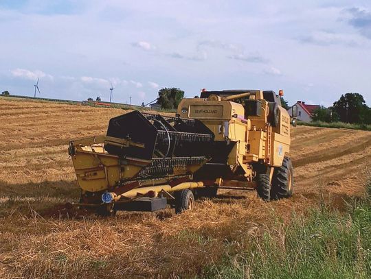 Damski bokser