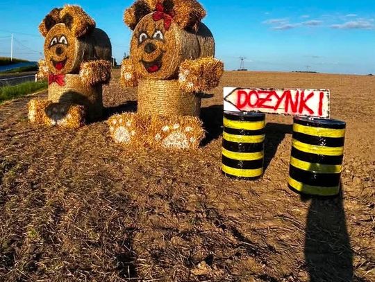 Dożynki sołeckie w Niewierzu