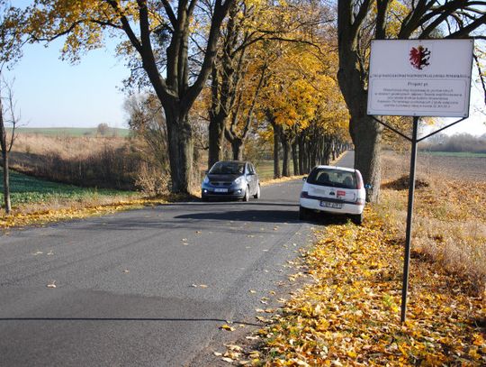 Drogowy szlak. Z Jajkowa do Świecia nad Drwęcą