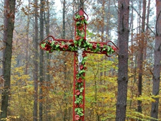 Dwa leśne krzyże