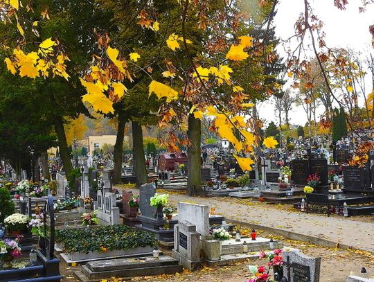 Działania  „Znicz 2019” na terenie powiatu brodnickiego
