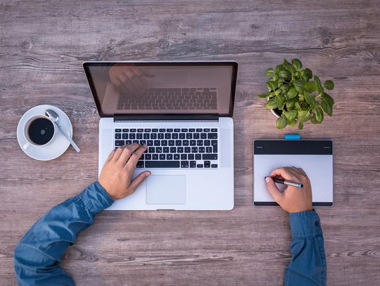 Jak stworzyć stronę w WordPress?