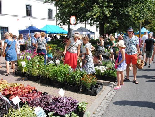 Jarmark Królewny Anny. Baba jest zawsze swojska