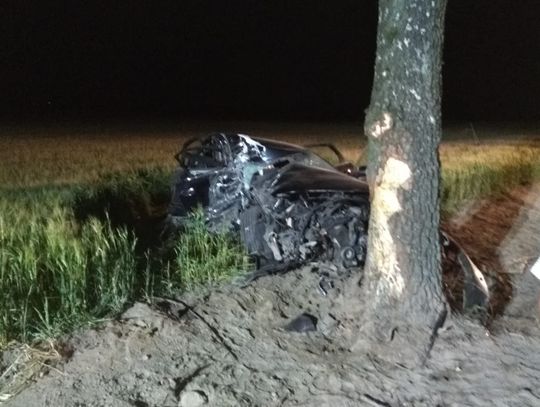 Kierowca audi nie dostosował prędkości. Zatrzymał się na drzewie 