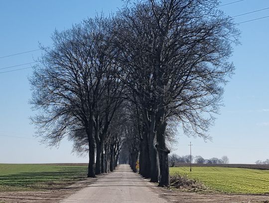 Koncepcja drogi ze ścieżką