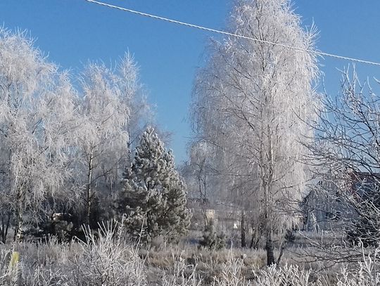 Krajobraz zimowy.  Niewielki fragment, ułamek dnia