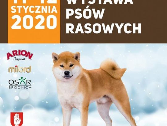 Krajowa Wystawa Psów Rasowych