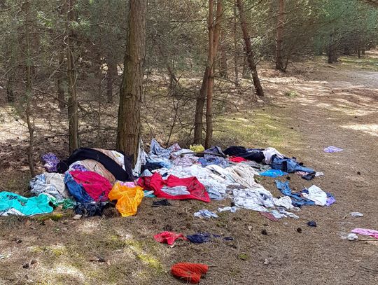 Na reporterskim szlaku. Niedzielny spacer