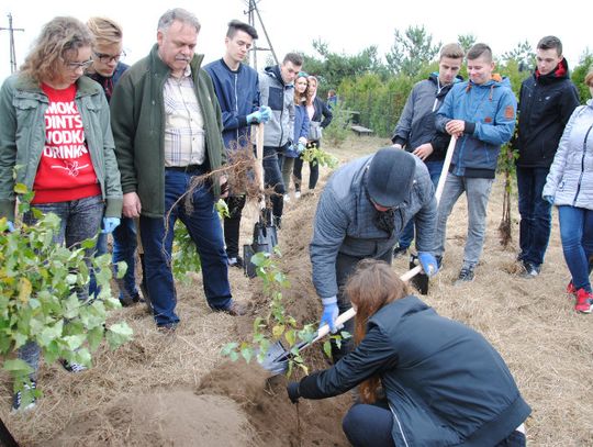 Na Ustroniu więcej drzew