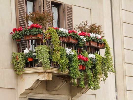 Najpiękniejszy balkon w mieście - Edycja II