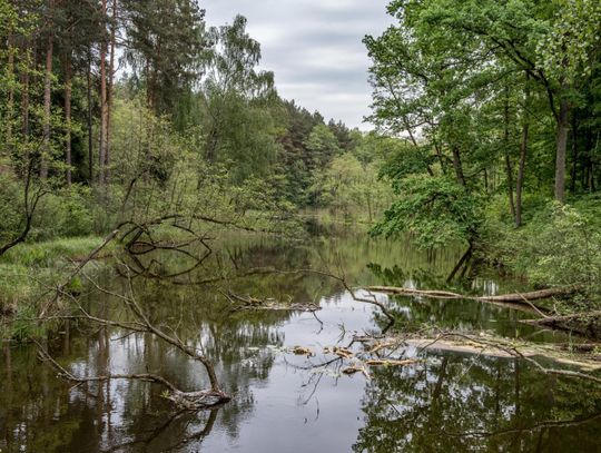 Nasz park dla każdego