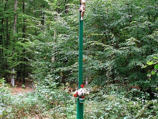 „Naturalny zabójca” także w naszych lasach