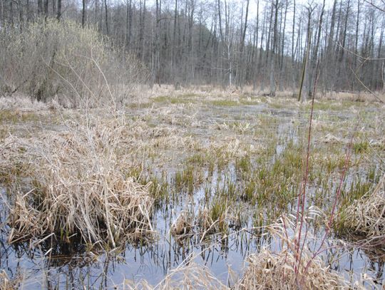 Nowy dramat wisi w powietrzu