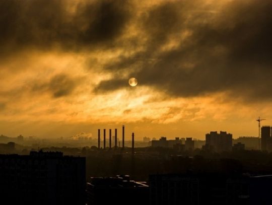 Polskie badania potwierdzają: smog szkodzi układowi krążenia
