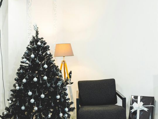 Producent choinek jako partner w planowaniu świątecznej ekspozycji