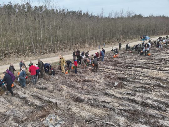 Rodzinne sadzenie dla lasu