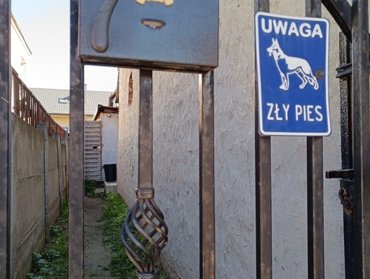 Rowerowa akademia przedszkolaka – ruch i profilaktyka