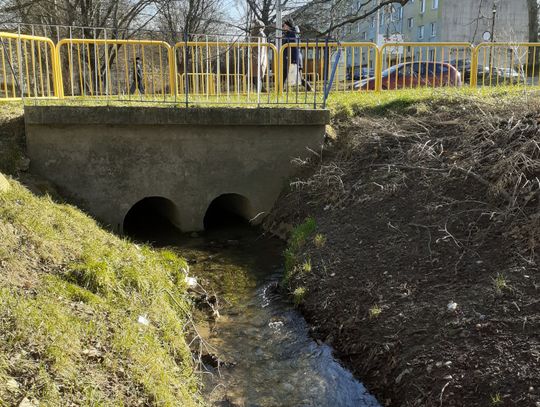 Rozmyślania nad wodą. Płynie, wije się rzeczka