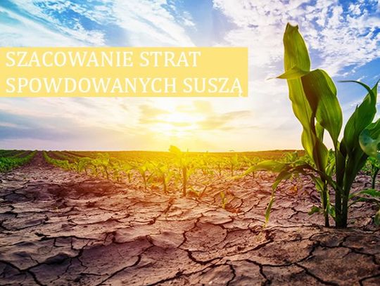 Susza 2023 – ważne informacje