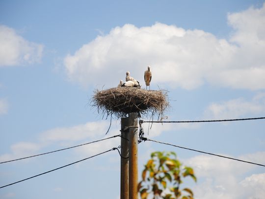 Świat za oknem. Lot nad glinianką