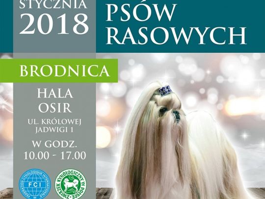 V Krajowa Wystawa Psów Rasowych