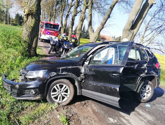 Volkswagen uderzył w drzewo. Zawinił kot