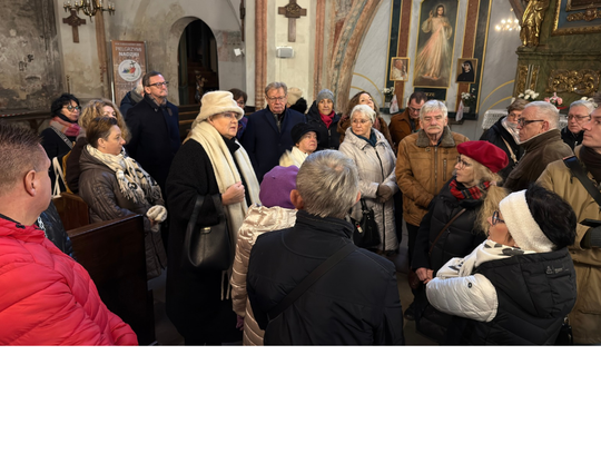 Wizyta u Anny Wazówny