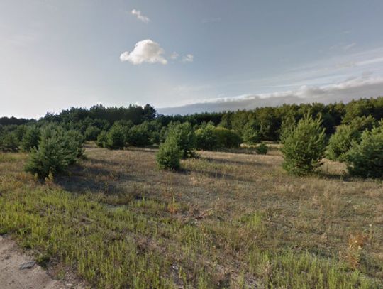 Wójt Gminy Brodnica