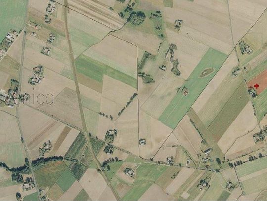 WÓJT GMINY BRODNICA ogłasza przetarg ustny ograniczony