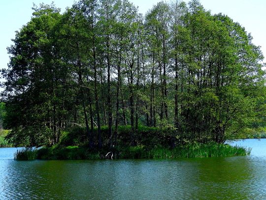 Wyspa skarbów