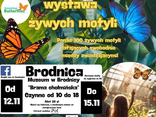 Wystawa motyli