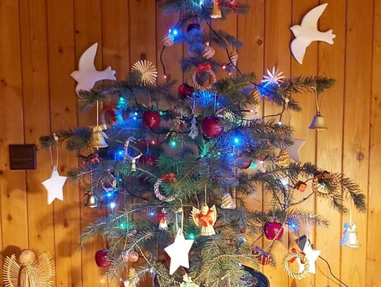 Z życia wzięte. Gwiazda nad rodzinnym domem