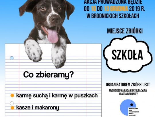Zbiórka dla "Reksia"