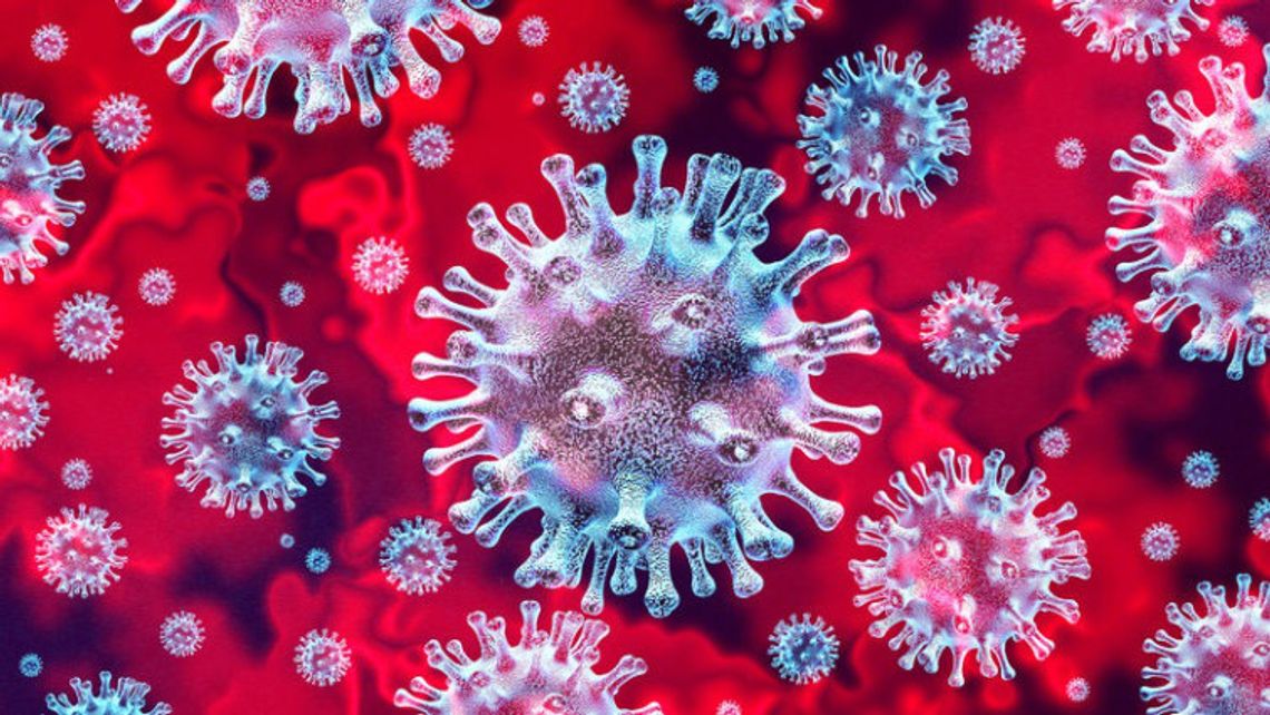 Czym się różni epidemia od pandemii?