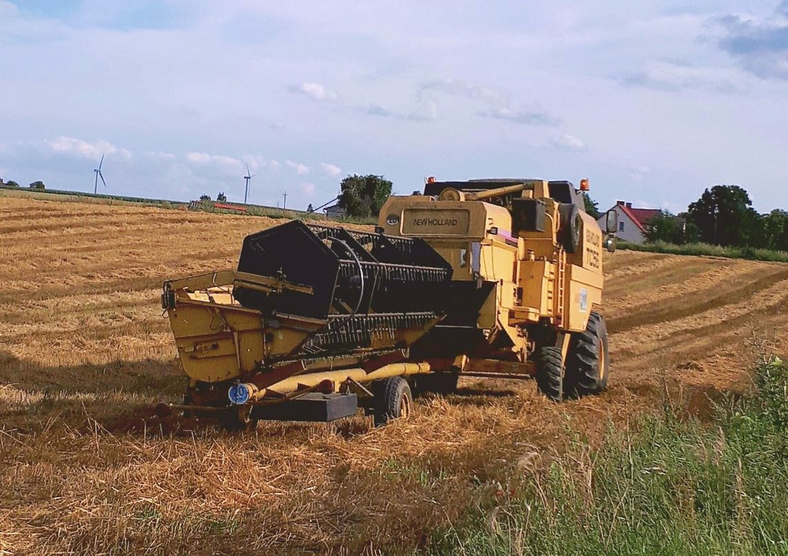 Damski bokser