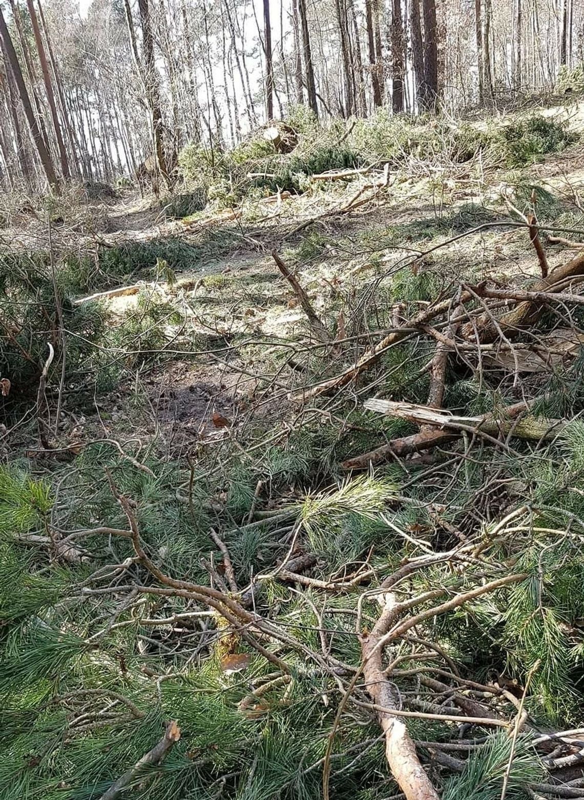 Depresja w walce o klimat. Ekstremalna pogoda 