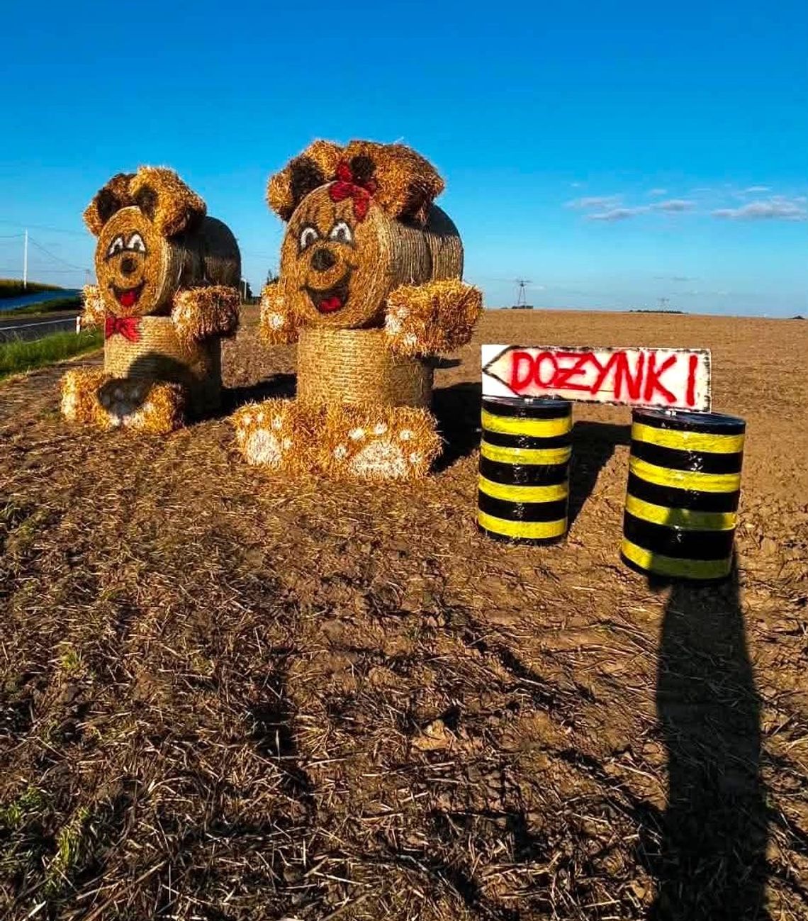 Dożynki sołeckie w Niewierzu Dożynki sołeckie w Niewierzu