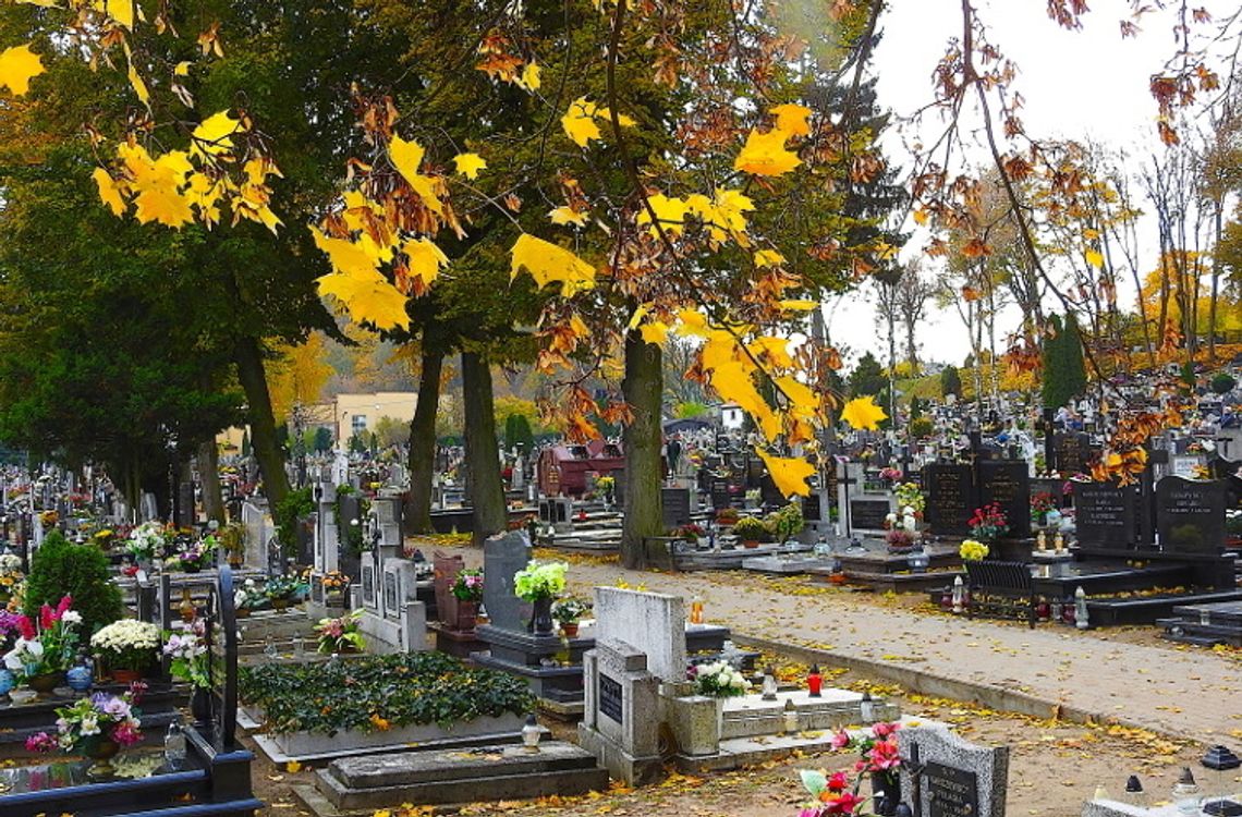 Działania „Znicz 2019” na terenie powiatu brodnickiego Działania „Znicz 2019” na terenie powiatu brodnickiego