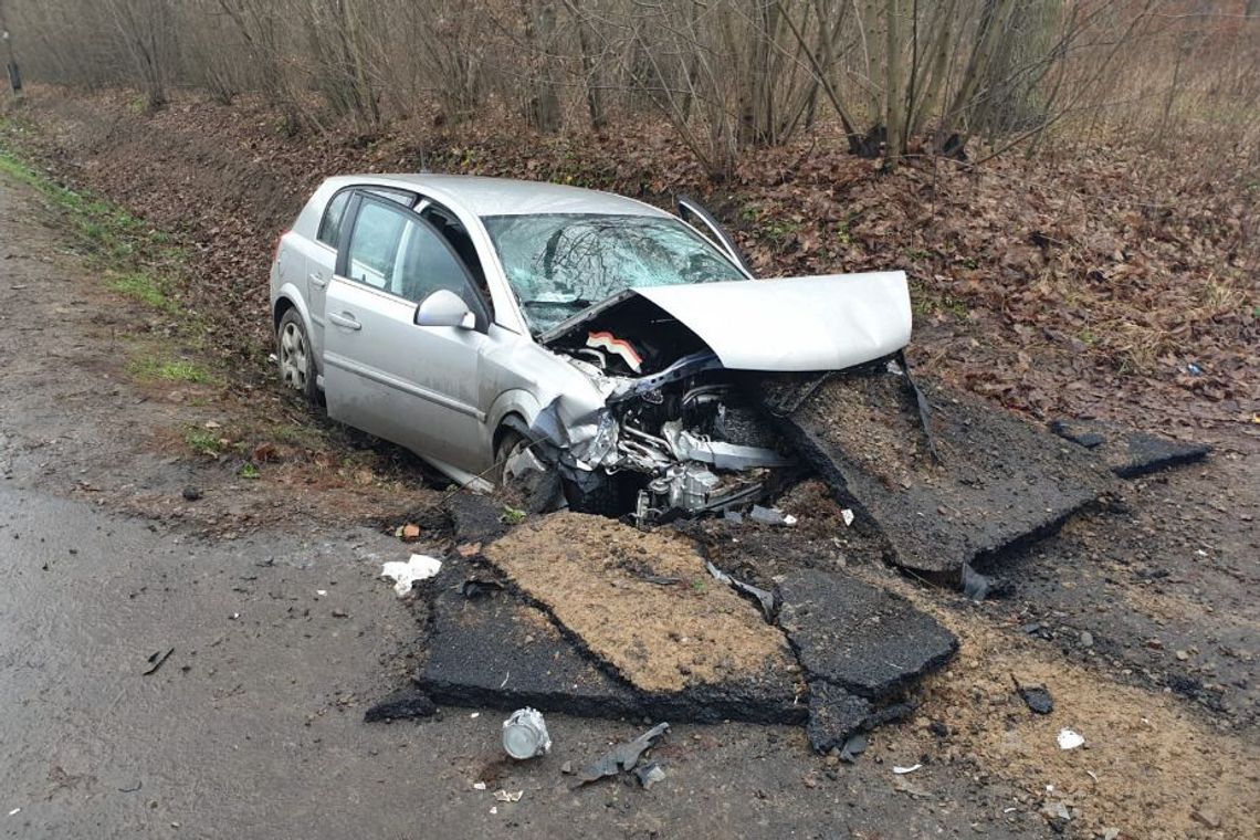 Jazdę zakończył w przydrożnym rowie