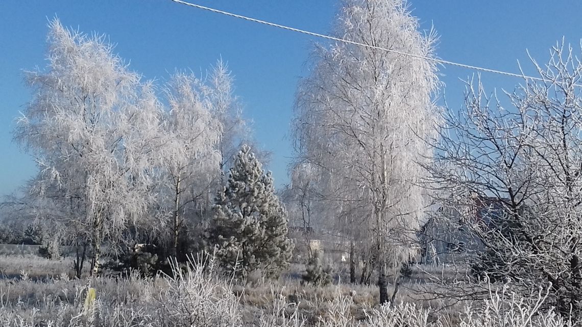 Krajobraz zimowy.  Niewielki fragment, ułamek dnia