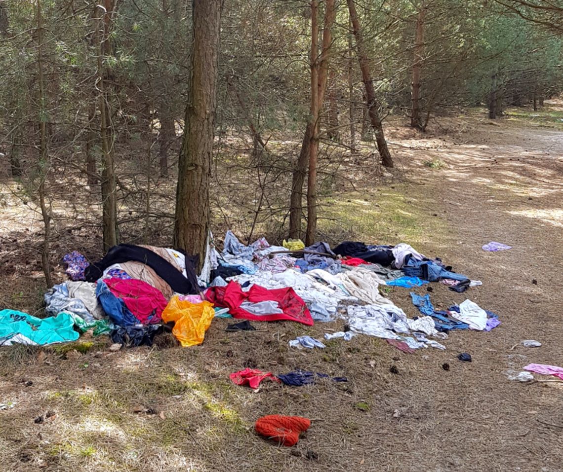 Na reporterskim szlaku. Niedzielny spacer