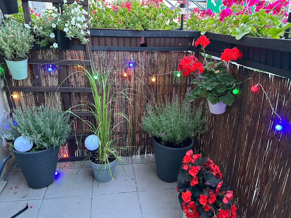 Najpiękniejszy balkon – trudny wybór