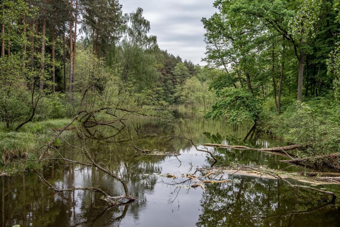 Nasz park dla każdego