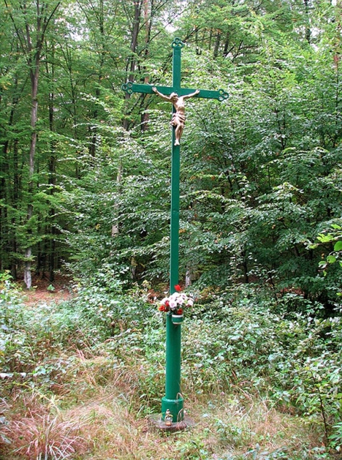 „Naturalny zabójca” także w naszych lasach