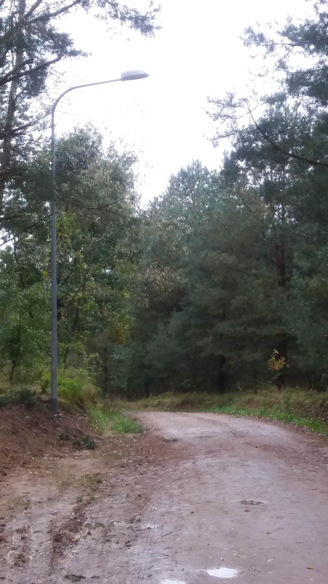 Nowe oświetlenie na terenie gminy. Będzie jaśniej