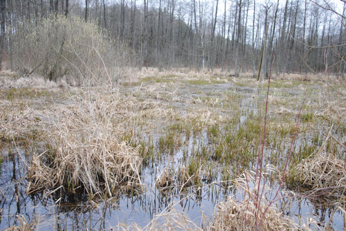 Nowy dramat wisi w powietrzu Nowy dramat wisi w powietrzu