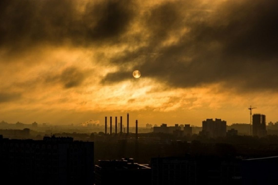 Polskie badania potwierdzają: smog szkodzi układowi krążenia