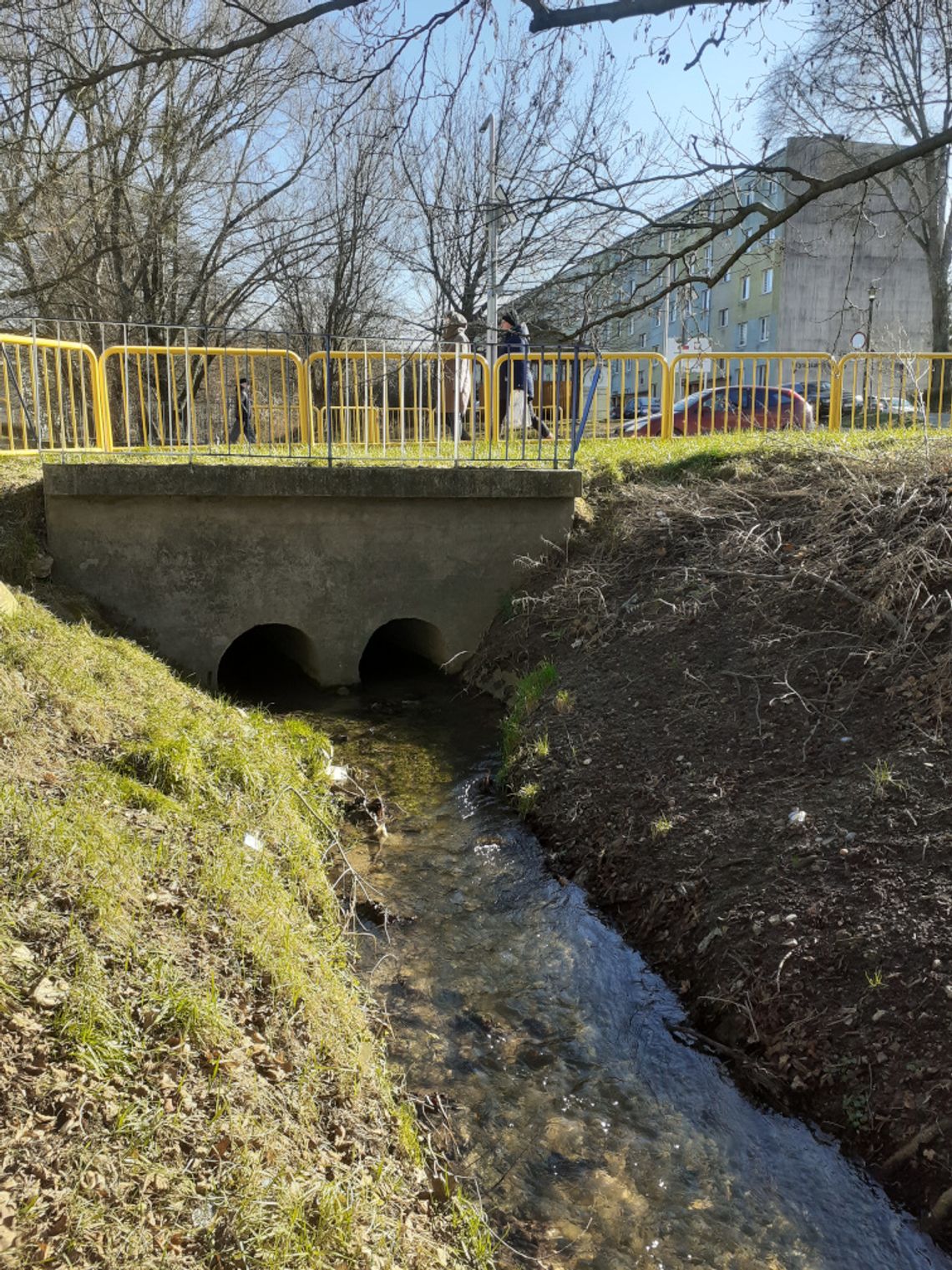 Rozmyślania nad wodą. Płynie, wije się rzeczka